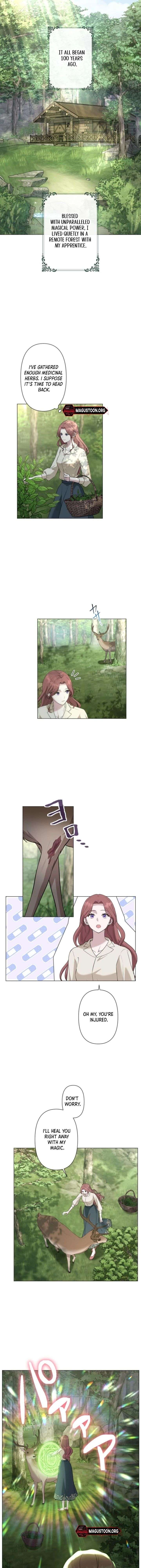 The Falsely Accused Villainess Can’t Escape the Knight! Chapter 1 - Page 4