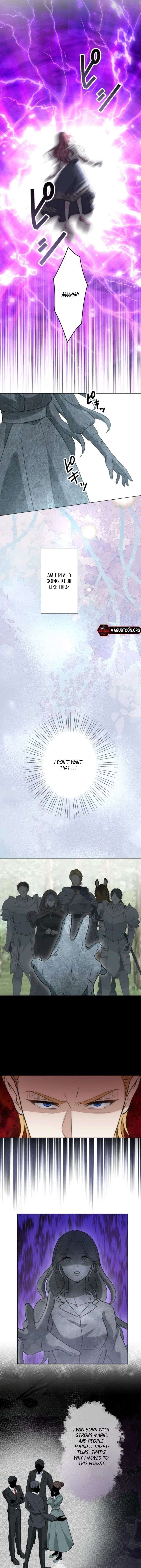 The Falsely Accused Villainess Can’t Escape the Knight! Chapter 1 - Page 7