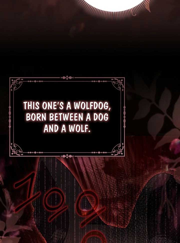 Rejecting The Perfect Marriage Chapter 35 - Page 19