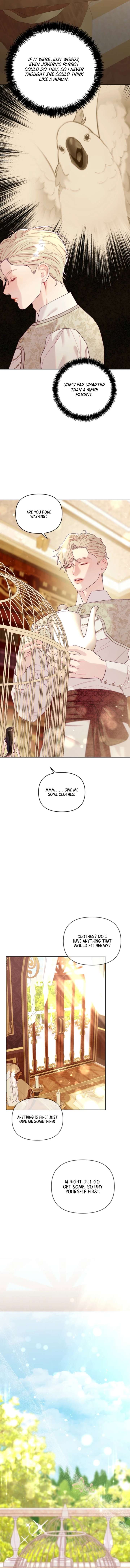 The Collector’s Cage Chapter 5 - Page 11