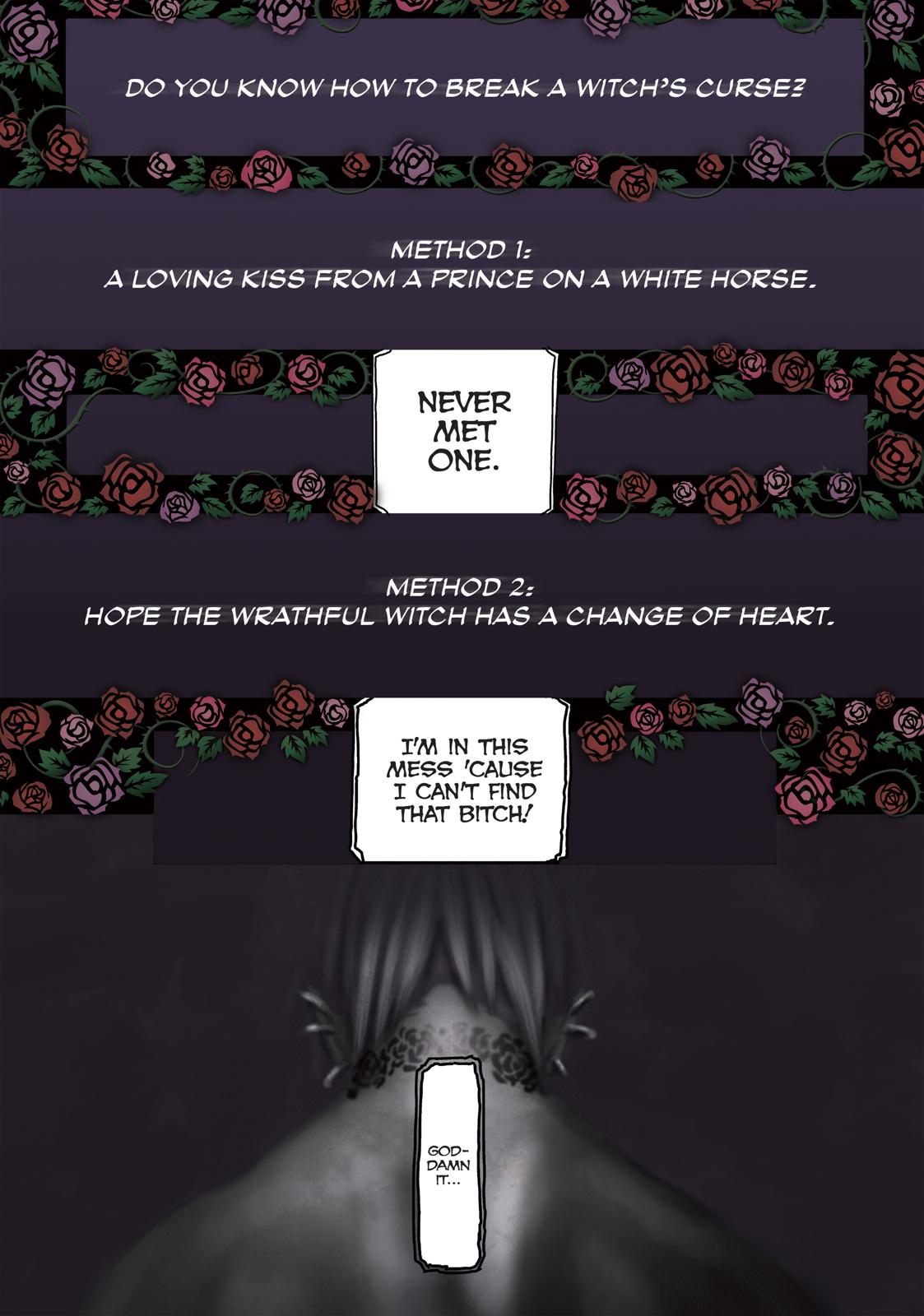 The Witch and the Beast Chapter 1 - Page 2