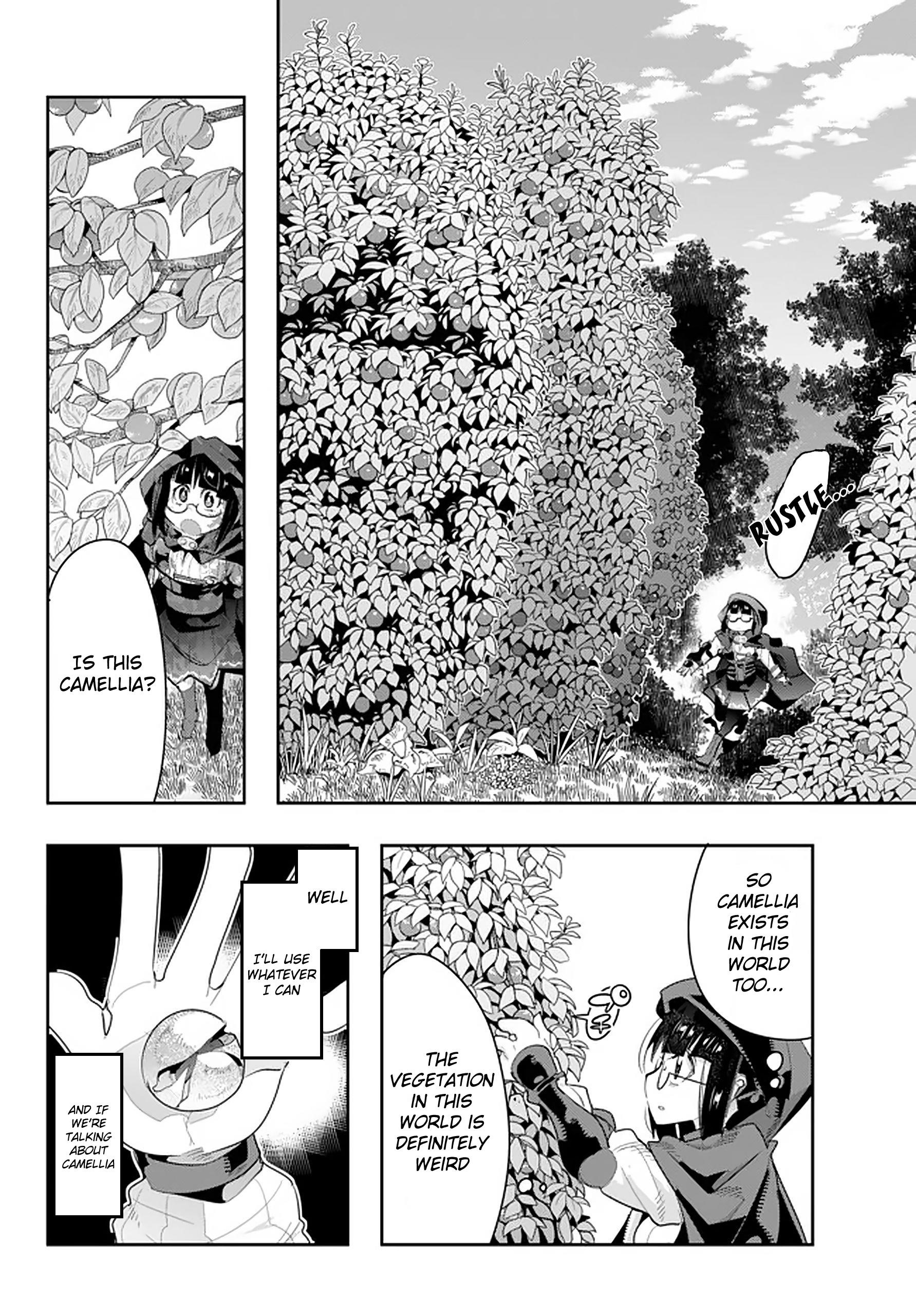 I Don’t Really Get It, but It Looks Like I Was Reincarnated in Another World Chapter 13.2 - Page 3