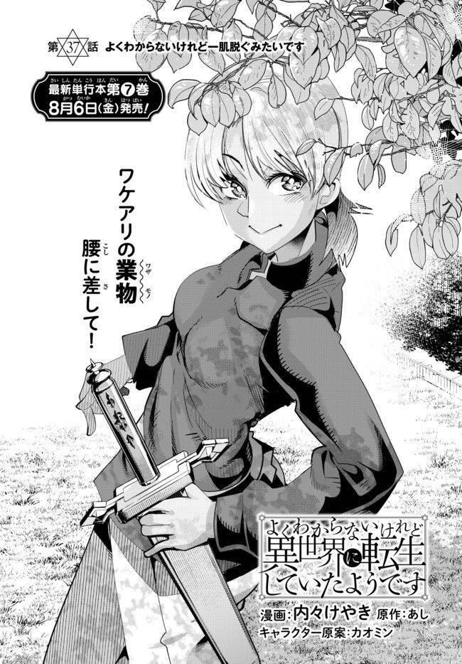 I Don’t Really Get It, but It Looks Like I Was Reincarnated in Another World Chapter 37 - Page 2