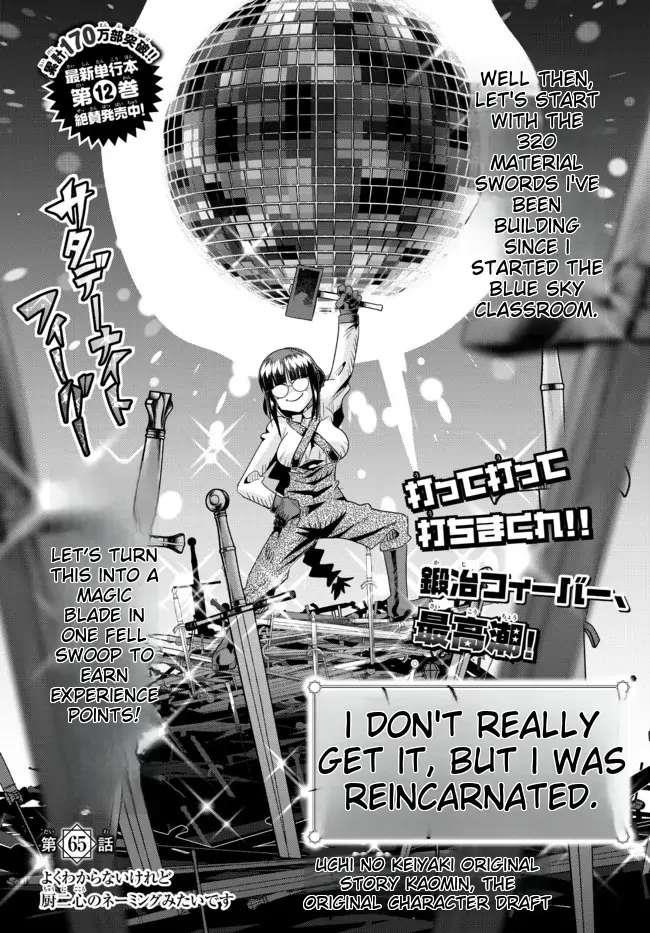 I Don’t Really Get It, but It Looks Like I Was Reincarnated in Another World Chapter 65 - Page 4