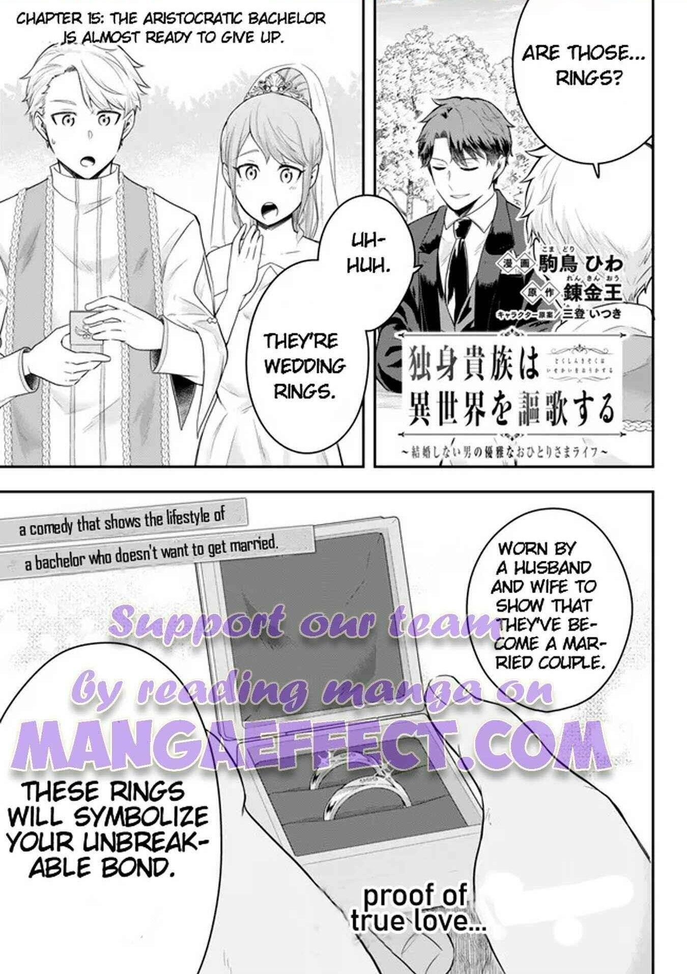 A single aristocrat enjoys a different world ~The graceful life of a man who never gets married~ Chapter 15.1 - Page 1