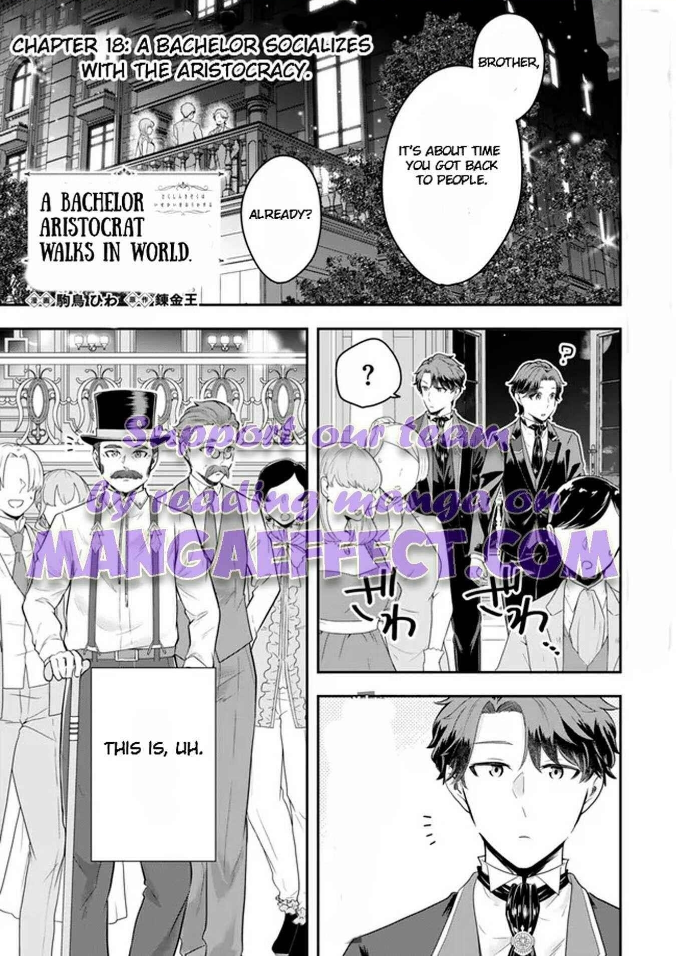 A single aristocrat enjoys a different world ~The graceful life of a man who never gets married~ Chapter 18.1 - Page 1