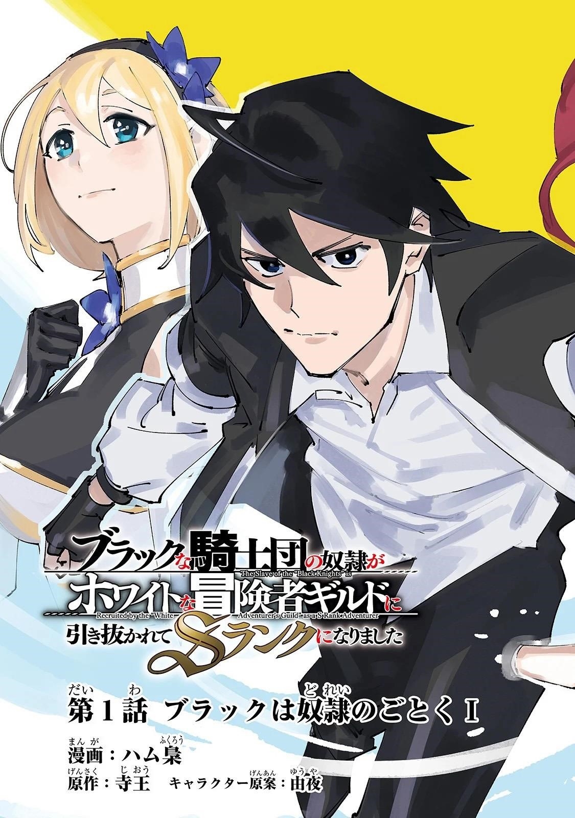 The Slave of the “Black Knights” is Recruited by the “White Adventurer’s Guild” as a S Rank Adventurer Chapter 1.1 - Page 3