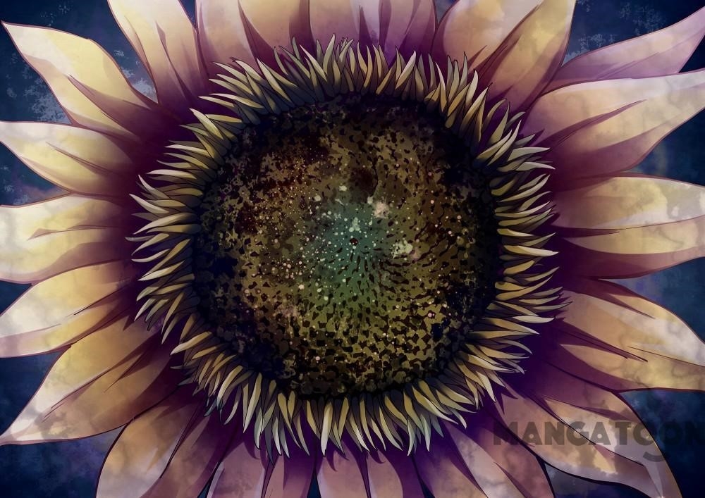 THE LAST HUMAN Chapter 247 - Page 13