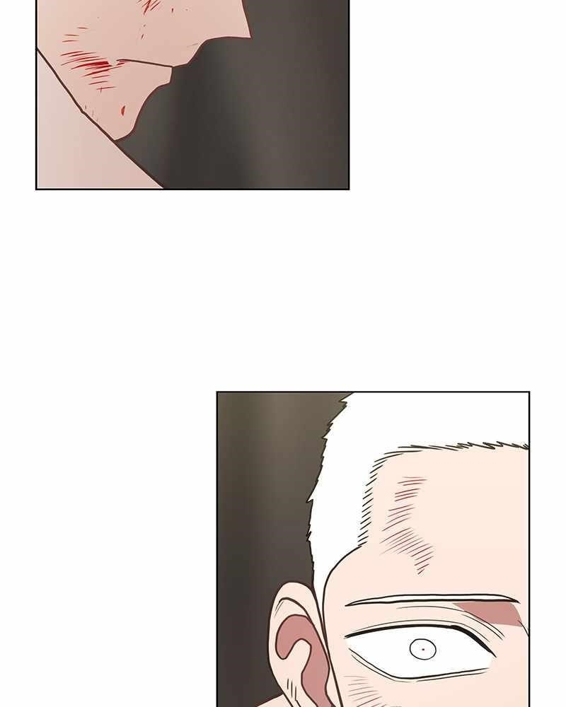 The Boxer Chapter 135 - Page 6