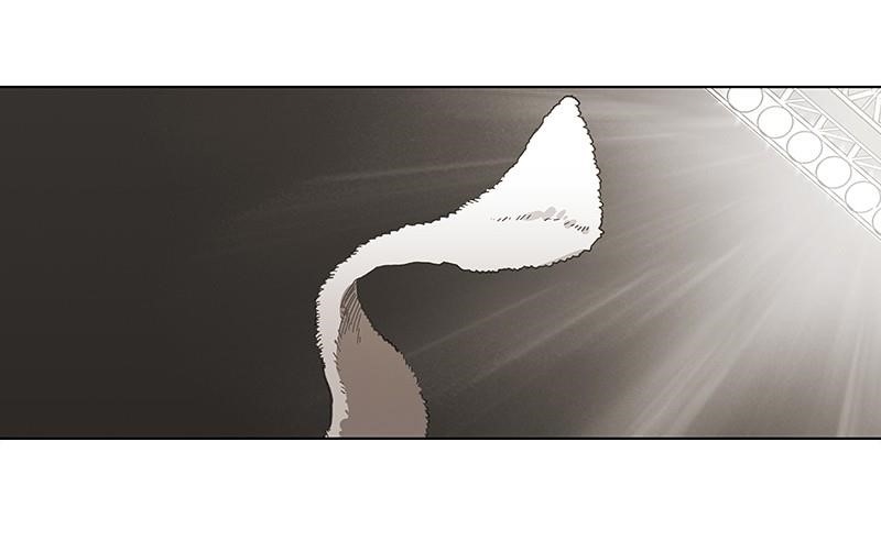 The Boxer Chapter 50 - Page 188