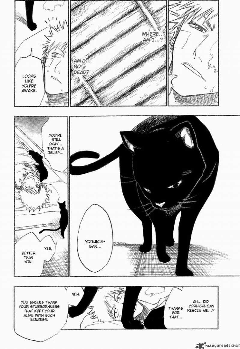 BLEACH Chapter 116 - Page 15