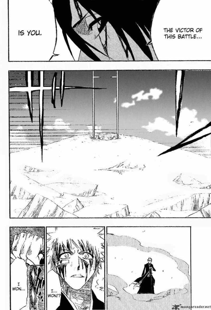 BLEACH Chapter 167 - Page 14