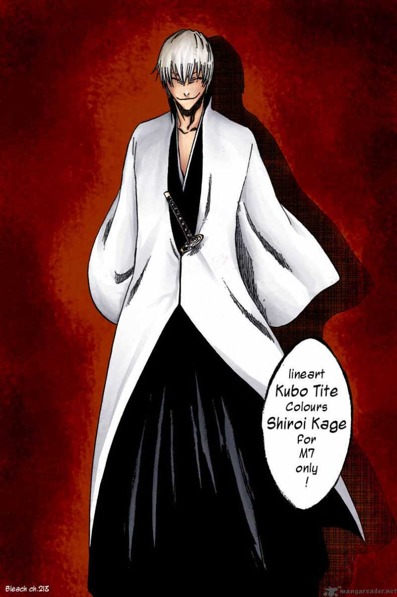 BLEACH Chapter 221 - Page 1