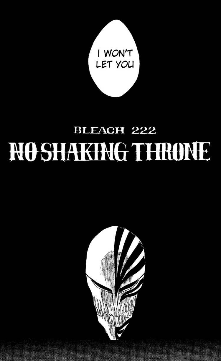 BLEACH Chapter 222 - Page 14