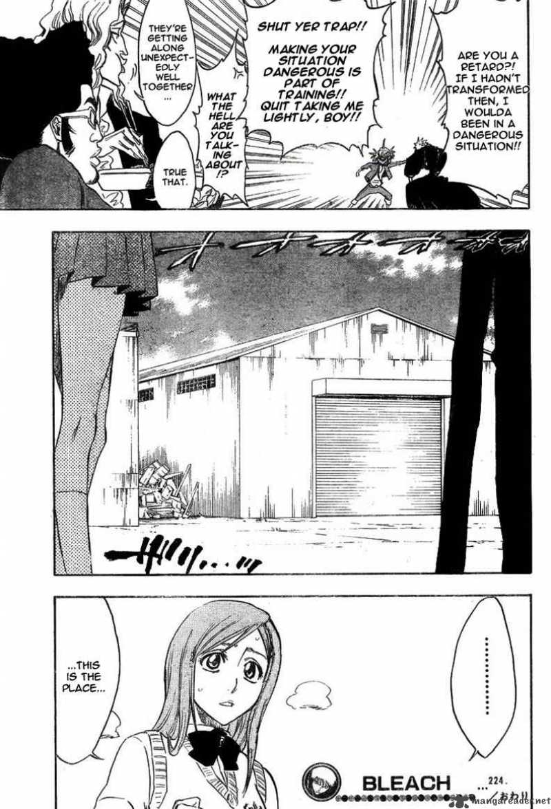 BLEACH Chapter 224 - Page 22