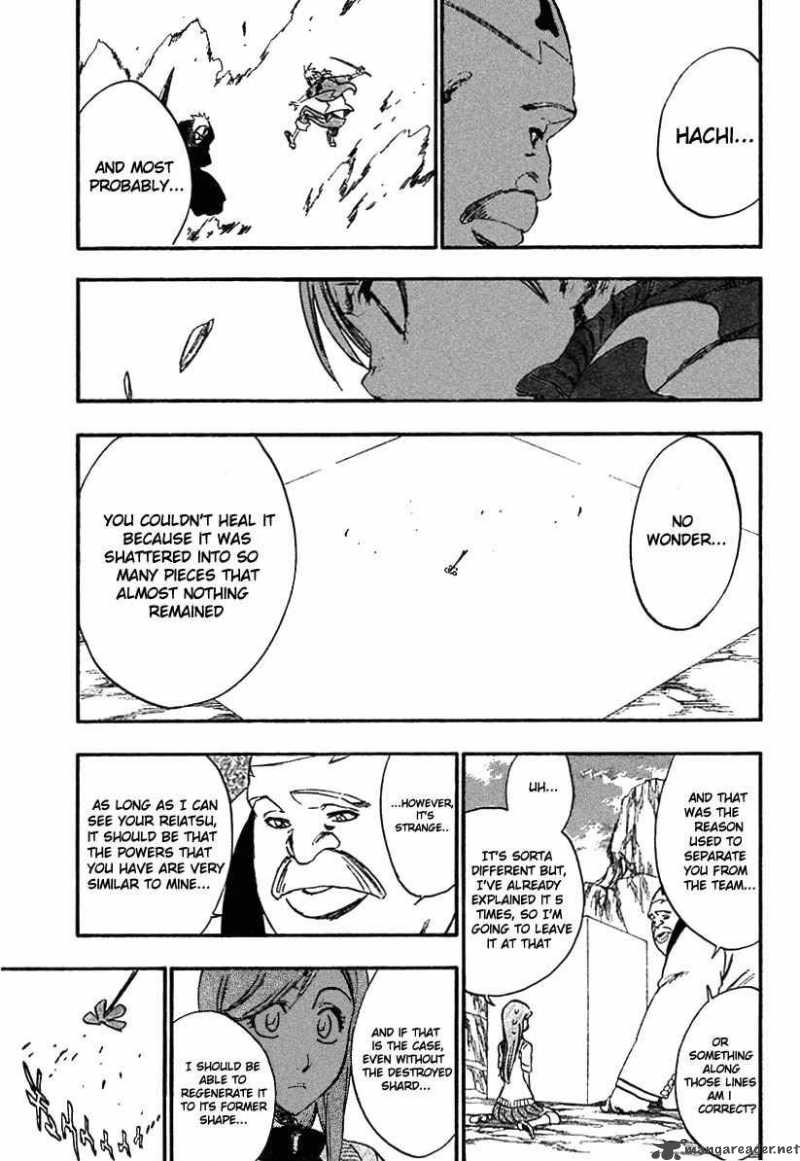 BLEACH Chapter 228 - Page 16