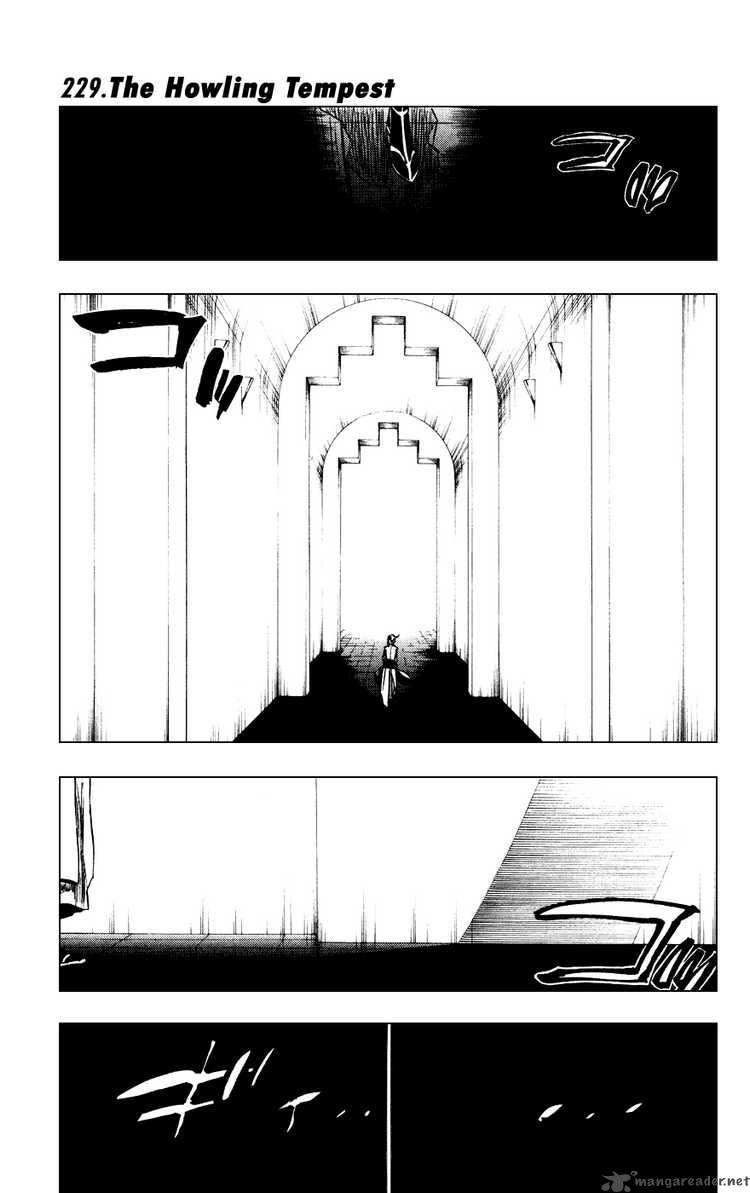 BLEACH Chapter 229 - Page 1