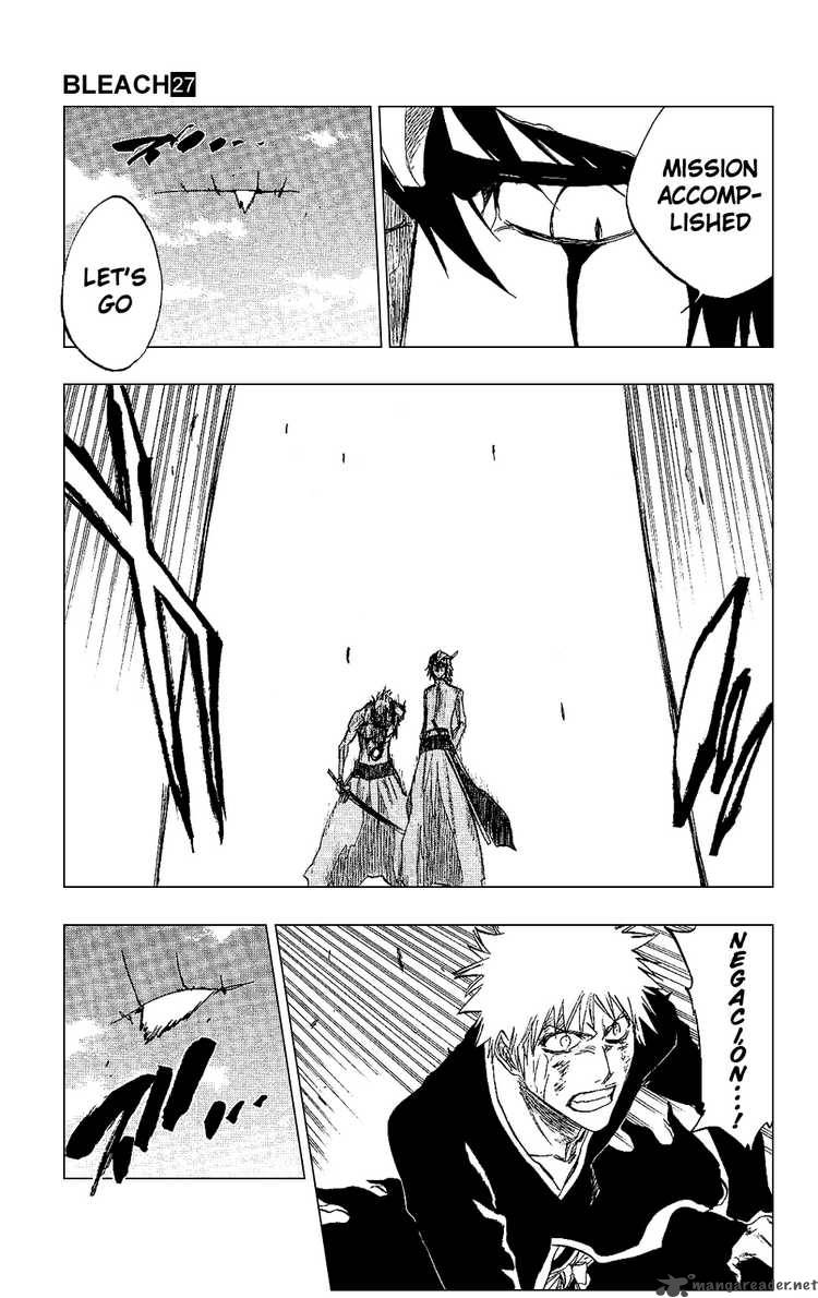 BLEACH Chapter 236 - Page 15