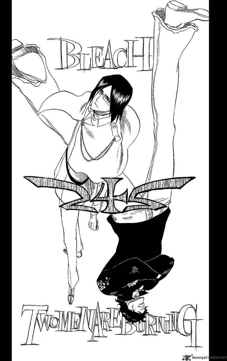 BLEACH Chapter 242 - Page 6
