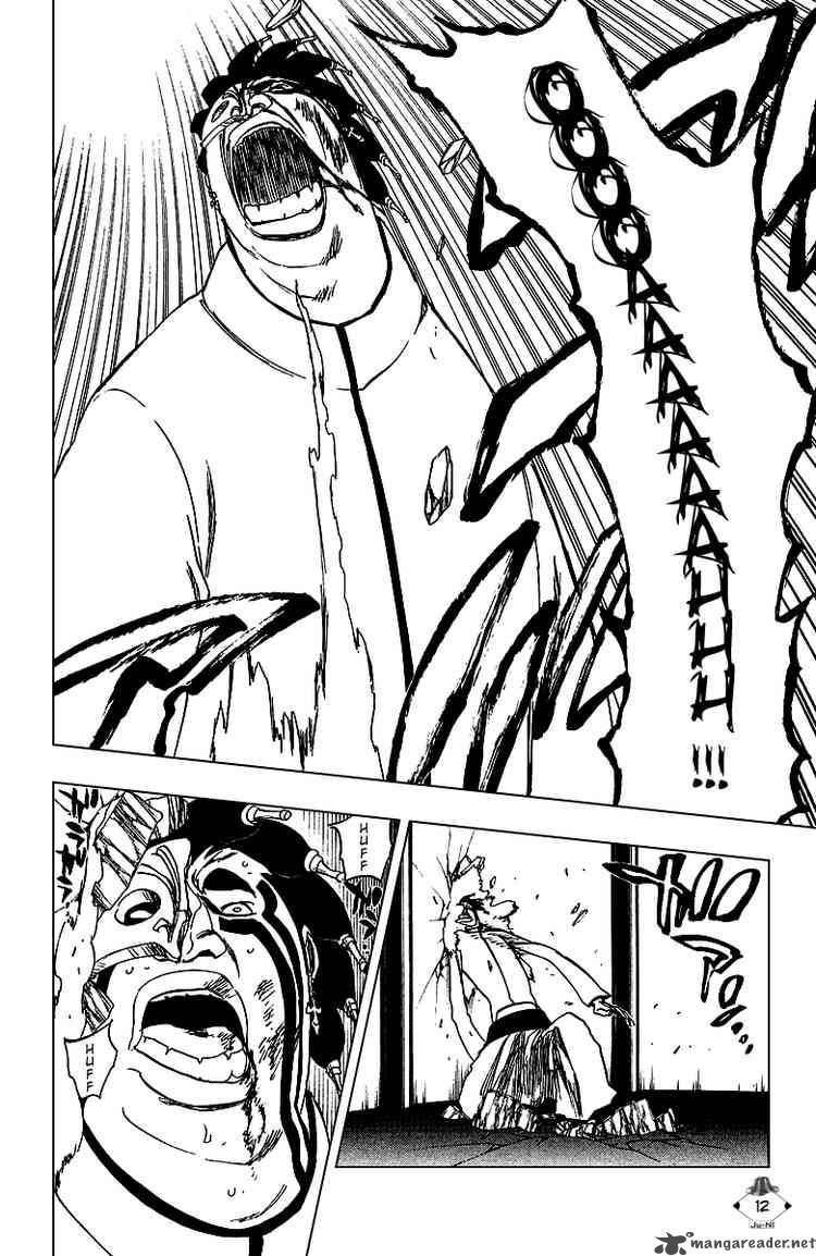 BLEACH Chapter 243 - Page 11