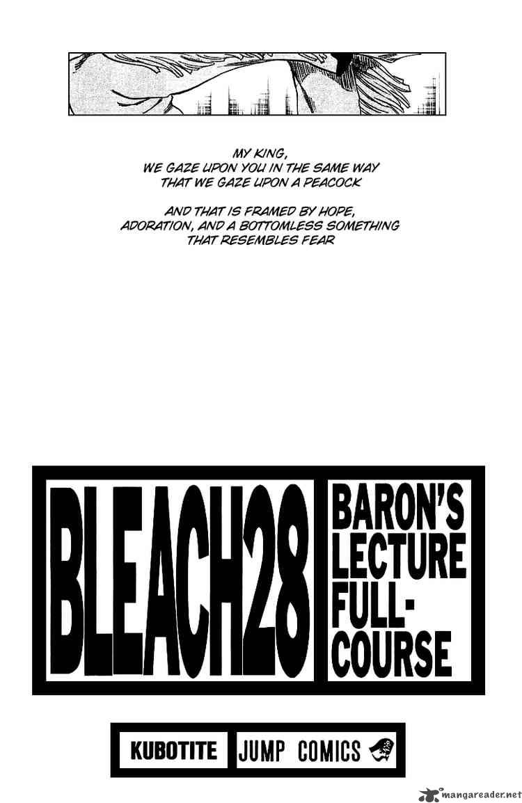 BLEACH Chapter 243 - Page 3