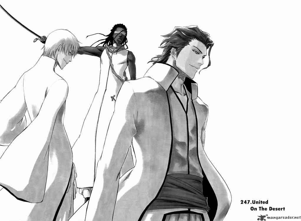 BLEACH Chapter 247 - Page 3