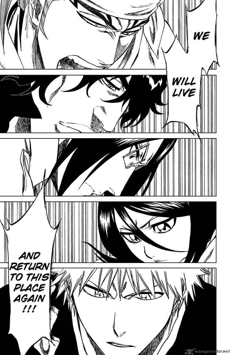 BLEACH Chapter 248 - Page 17