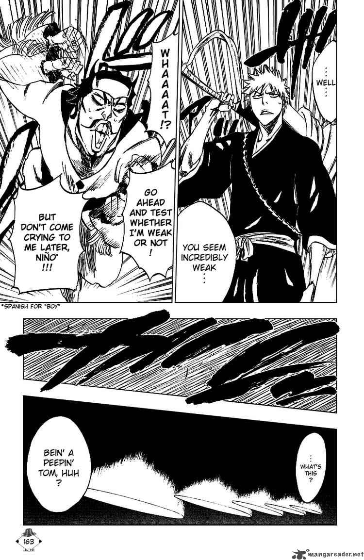 BLEACH Chapter 250 - Page 13