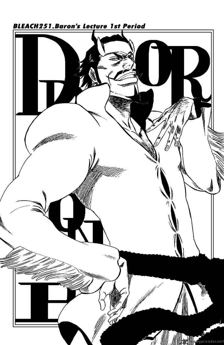 BLEACH Chapter 251 - Page 3