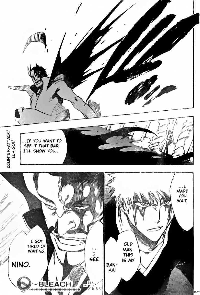 BLEACH Chapter 252 - Page 20