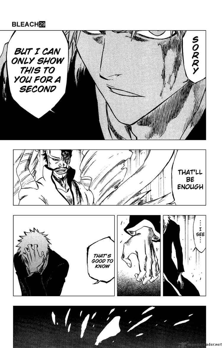 BLEACH Chapter 253 - Page 13