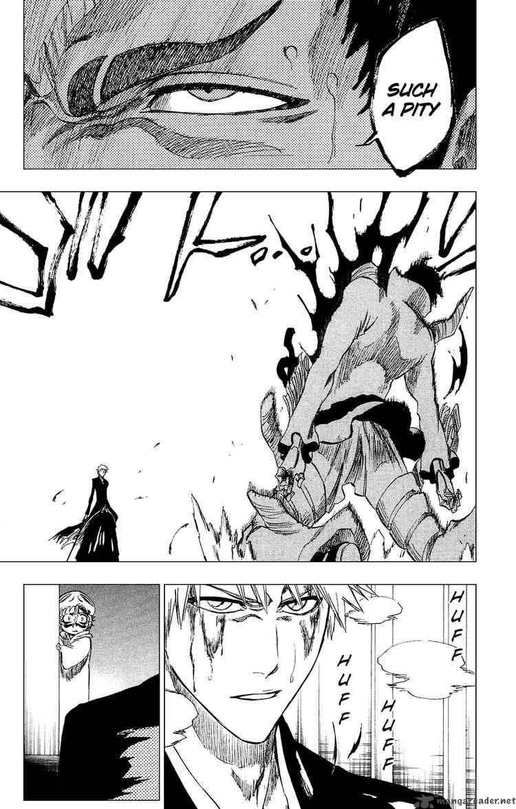 BLEACH Chapter 253 - Page 19