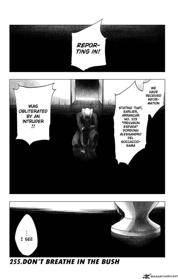 BLEACH Chapter 255 - Page 1