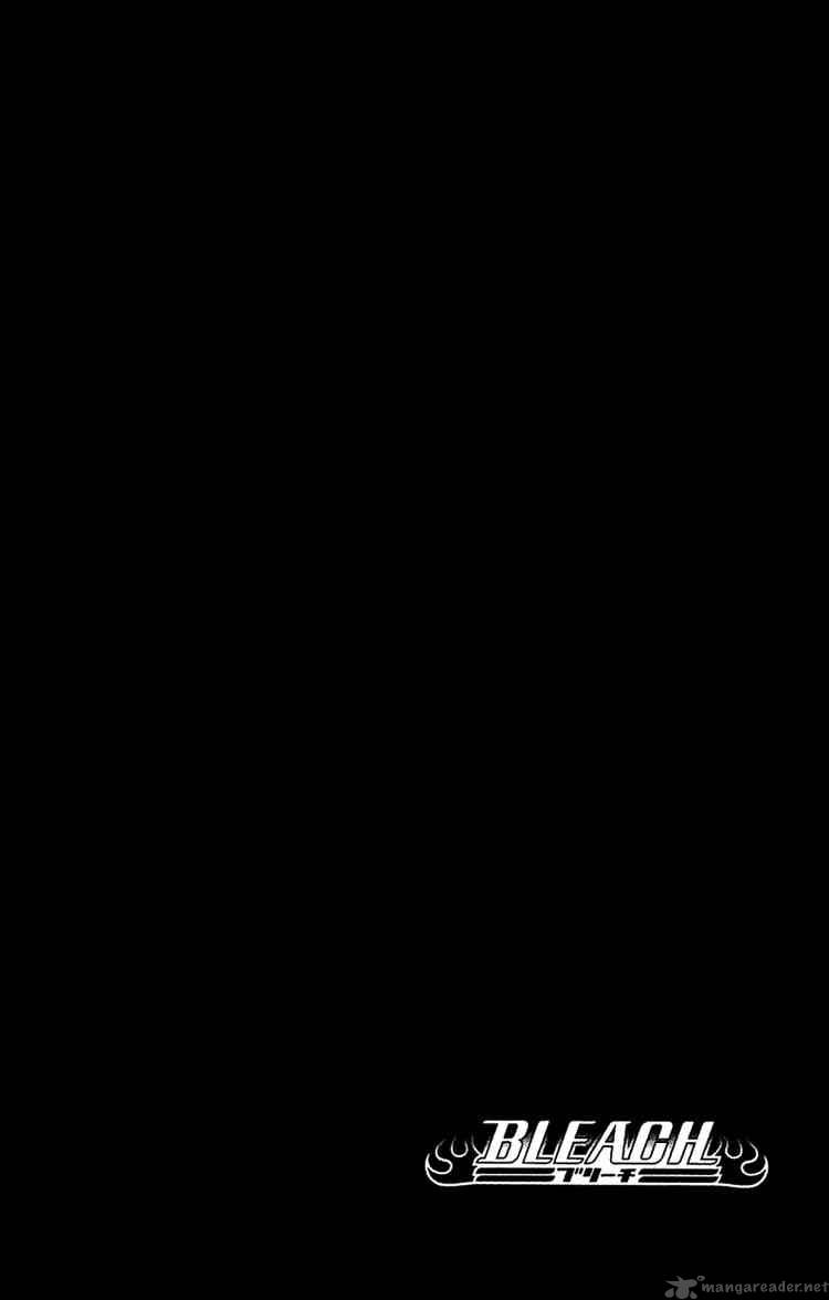 BLEACH Chapter 255 - Page 3