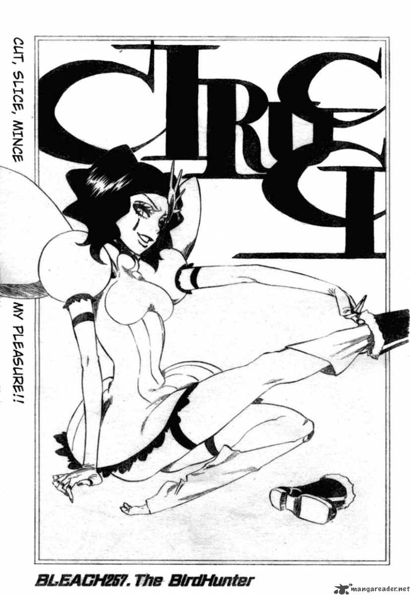 BLEACH Chapter 257 - Page 4