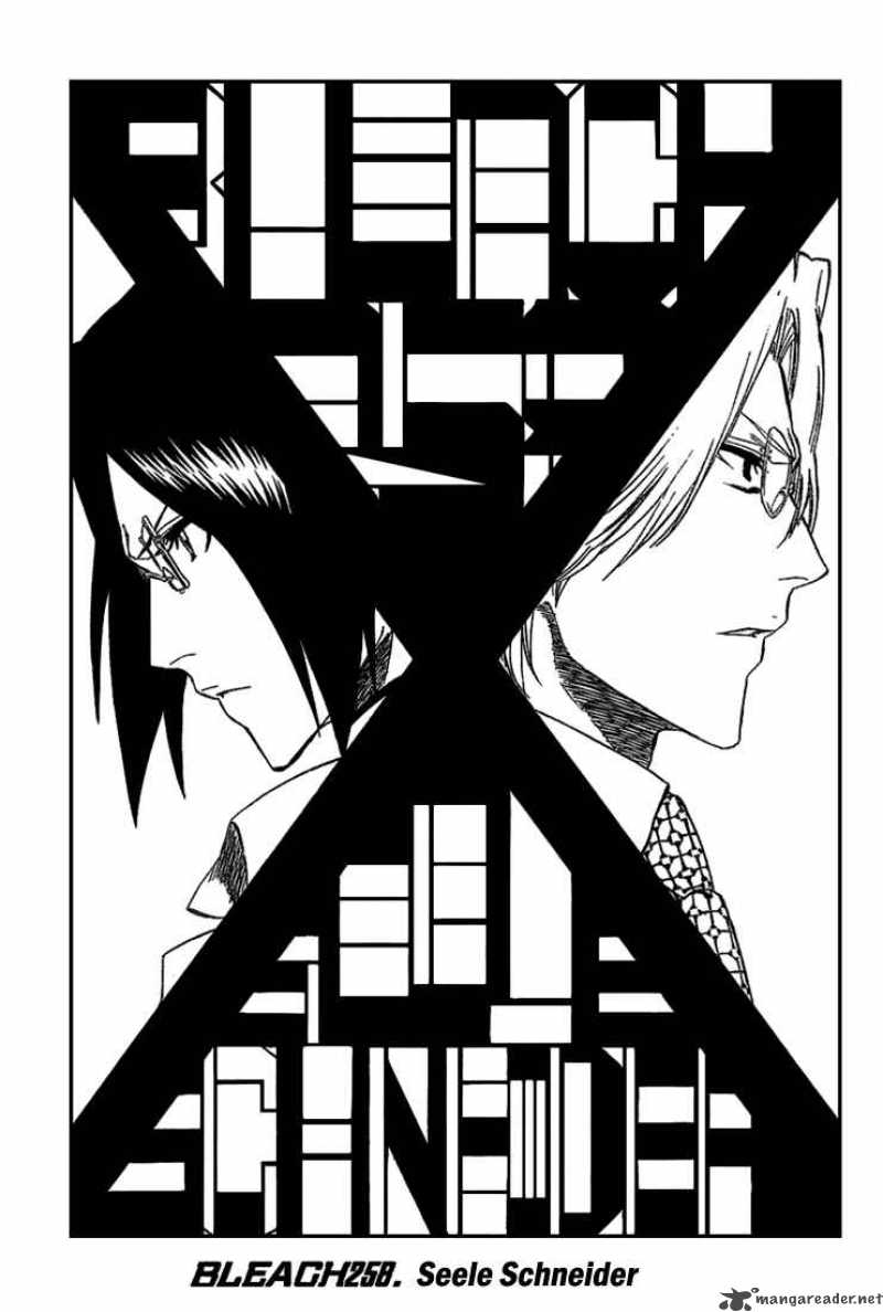 BLEACH Chapter 258 - Page 5