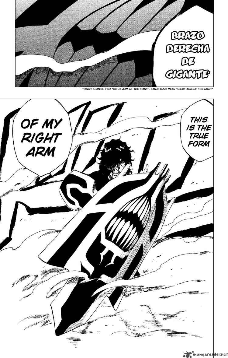 BLEACH Chapter 259 - Page 19