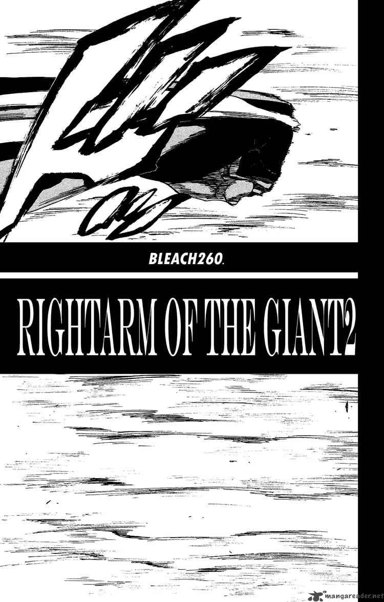 BLEACH Chapter 260 - Page 5
