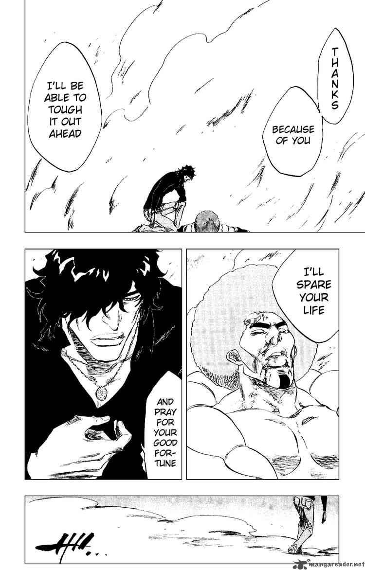 BLEACH Chapter 261 - Page 19