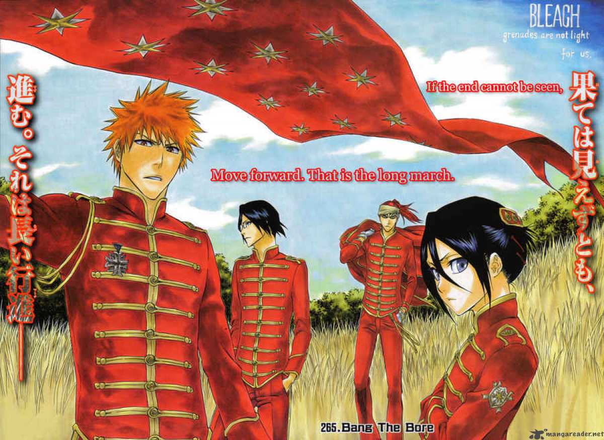 BLEACH Chapter 265 - Page 3