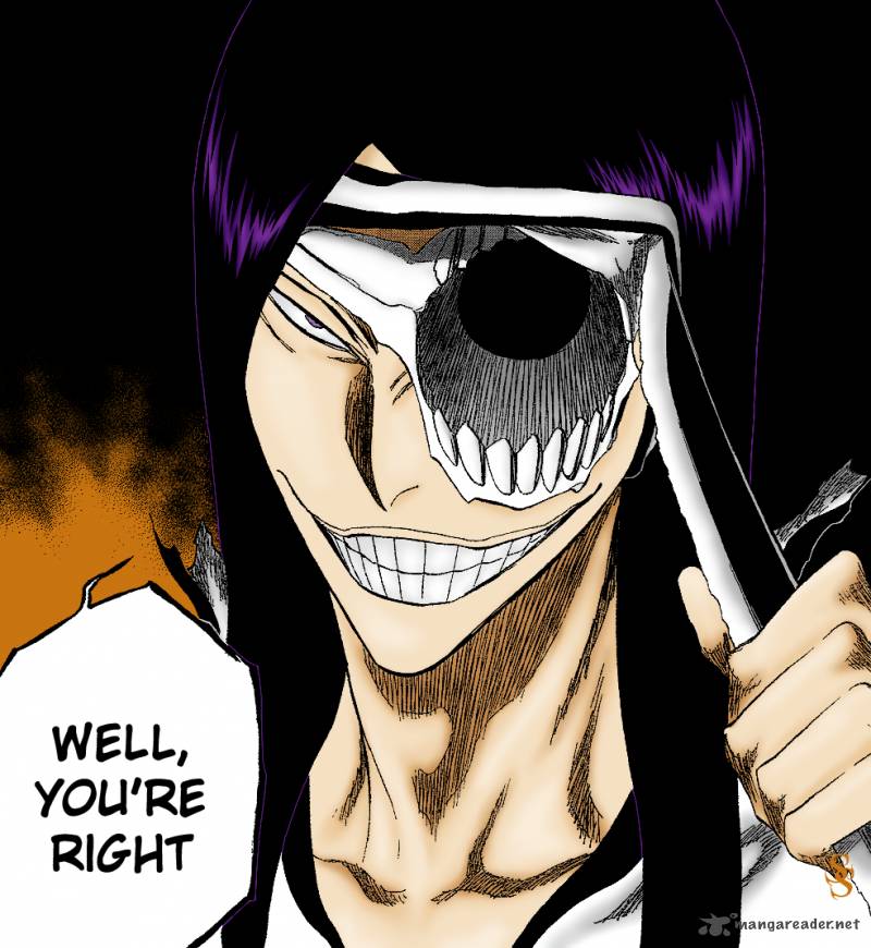 BLEACH Chapter 309 - Page 22