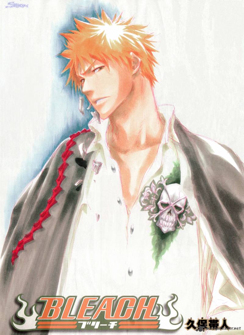 BLEACH Chapter 323 - Page 24