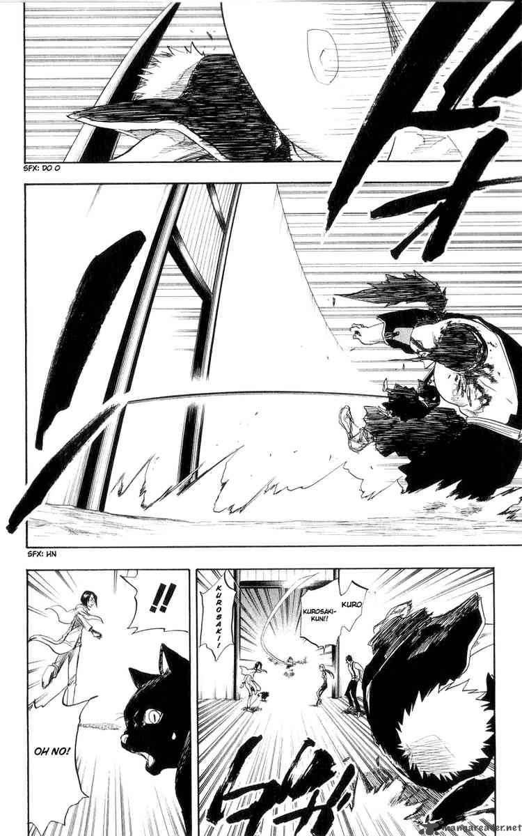 BLEACH Chapter 75 - Page 17