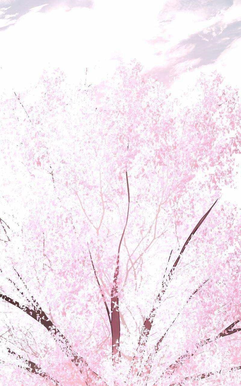 Hero Killer Chapter 164 - Page 24