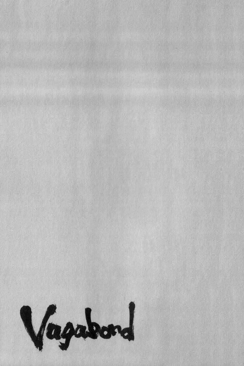 Vagabond Chapter 114 - Page 19