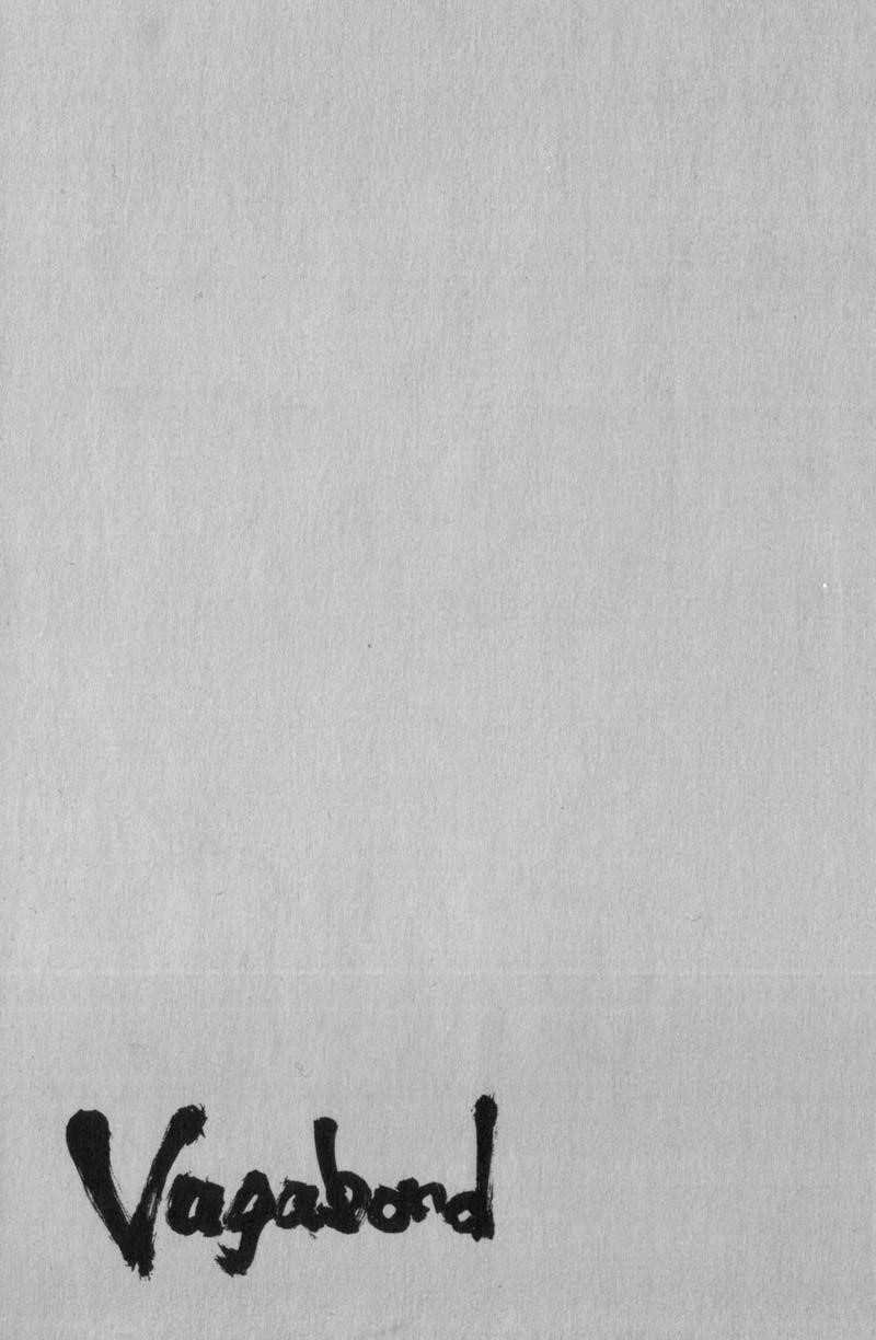 Vagabond Chapter 118 - Page 19