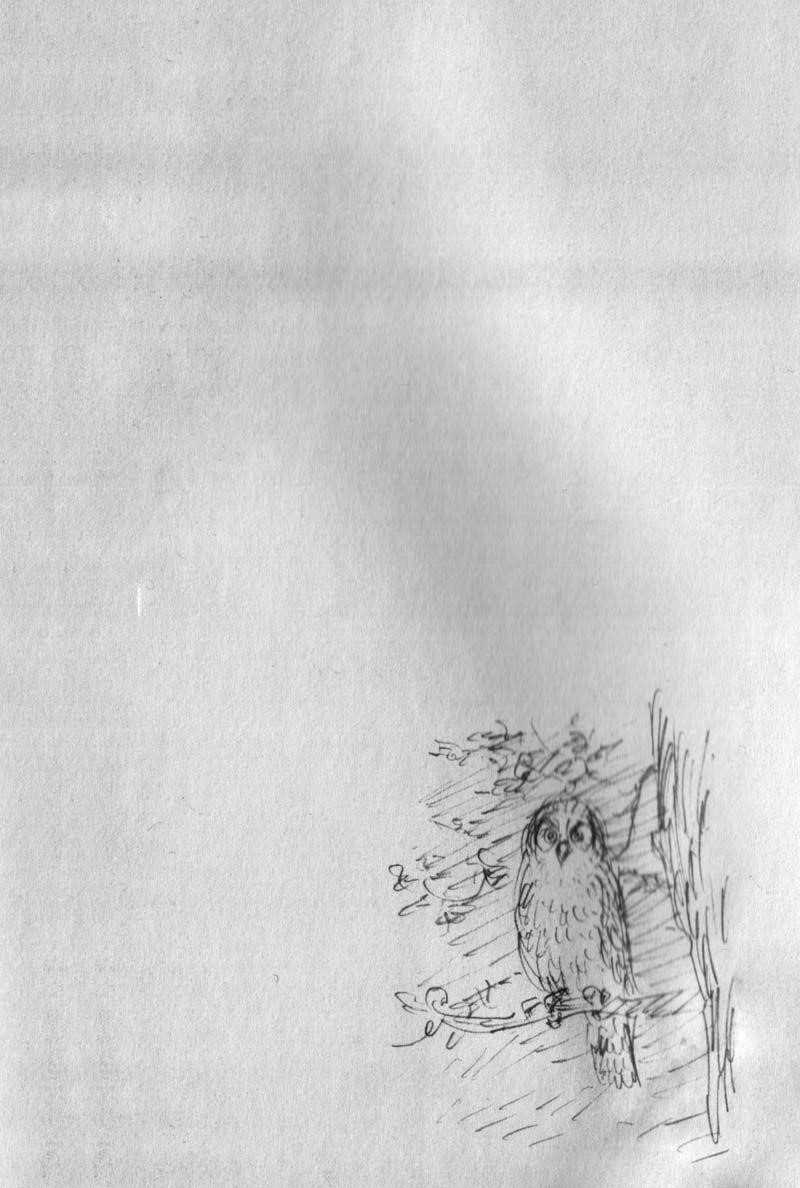 Vagabond Chapter 142 - Page 27