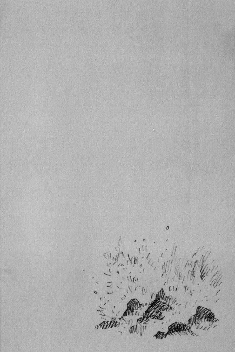 Vagabond Chapter 154 - Page 24