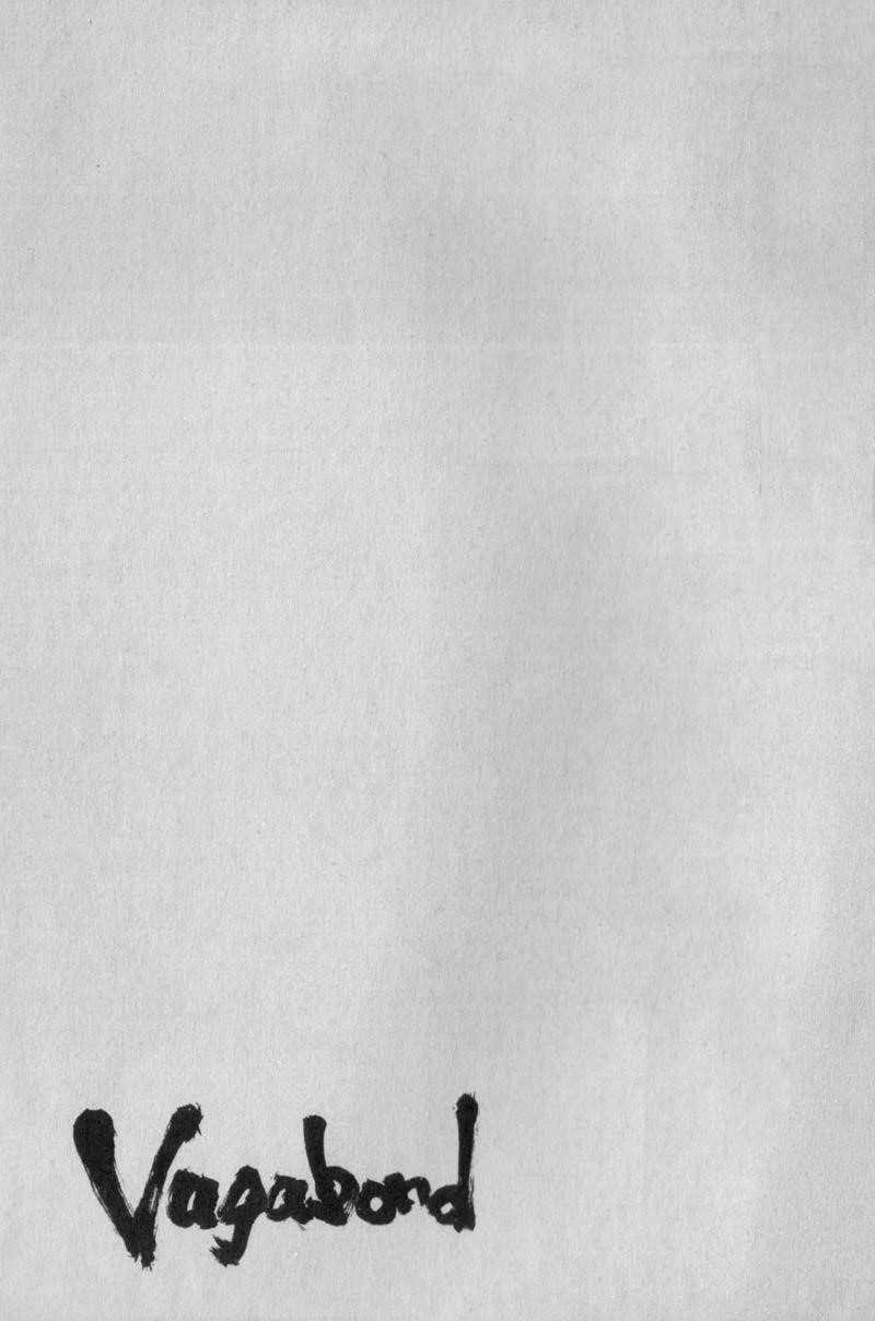 Vagabond Chapter 176 - Page 23