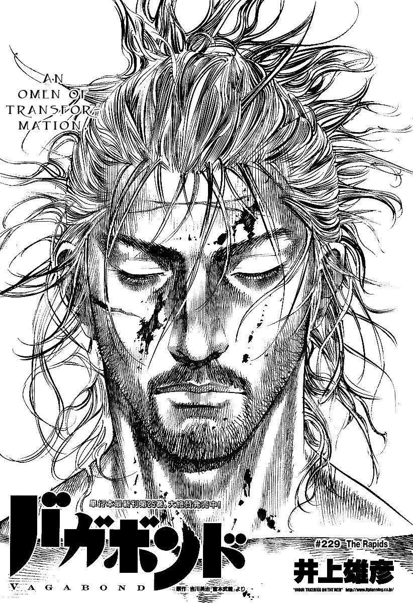 Vagabond Chapter 229 - Page 1